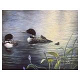 Kevin Dodds - Two Loons on Lake Framed Canvas Signed Print (37 x 47 in)