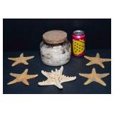 Collection of Sand Dollars and Starfish
