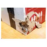 Westinghouse 5 Solar Holiday Lights