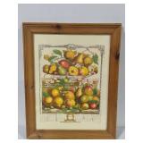 "March" From the Twelve Months of Fruits by Robert Furber