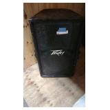 peavy speaker