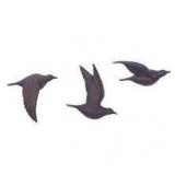 Polystone Bird Metallic 3D Sculpted Wall Decor Set of 3 Brown