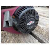 Large Briggs & Stratton Water Pump