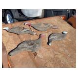 Four amazing Plastic/Rubber Turkey Decoys
