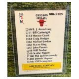 1990-1991 NBA Hoops - Art Card Team Checklist #358 Michael Jordan Chicago Bulls