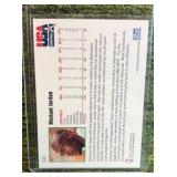 1992-93 NBA Hoops Michael Jordan Team USA Basketball #341 HOF MVP Dream Team