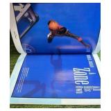 MICHAEL JORDAN Beckett Tribute Magazine Issue 3 1993 Chicago BULLS MJ
