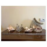 Seashell Collection with Glass Bottles and Large Conch