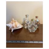 Seashell Collection with Glass Bottles and Large Conch