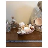 Seashell Collection with Glass Bottles and Large Conch