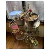 2-Tier Metal Plant Stand with 4 Potted Plants - Indoor Garden Display