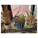 2-Tier Plant Stand with Planters - Black Wrought Iron (28 x 27 x 11)