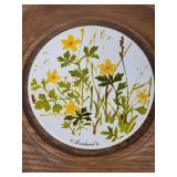 Goodwood Floral Plate Under Glass Cloche on Octagonal Wood Stand - Made in Japan