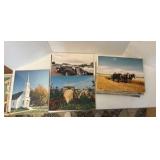 MOUNTED photos 11” x 14”  - various subjects