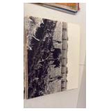 MOUNTED photos 11” x 14”  - various subjects