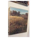 MOUNTED photos 11” x 14”  - various subjects