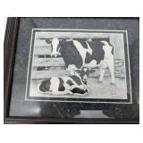 Two Cow Art Prints - Framed Black & White Cattle, Manure Happens Sign