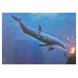 1993 Signed Dolphin Print – Underwater Orca in Blue Depths