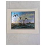 Matted Wildlife Prints – Duck Flock Scenes in Marsh and Woodland Settings