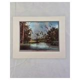 Matted Wildlife Prints – Duck Flock Scenes in Marsh and Woodland Settings
