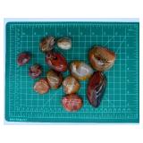 Polished Banded Agate Stones - 12 Pcs, Brown & Red Tones