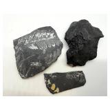Fossil Ferns on Black Shale (Lot of 3)