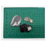 Fossil Ferns on Black Shale (Lot of 3)