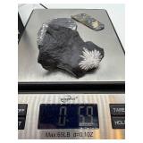 Fossil Ferns on Black Shale (Lot of 3)