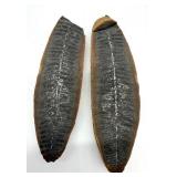 Fossil Halves - From The Same Stone (Lot of 2)
