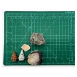 Mineral Rock Specimen Lot - Agate Slice, Himalayan Salt, Dark Rock & Carved Tree Stones (2-Pieces)