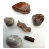 Banded Stone Cylinder Cup & Ammonite Fossils Polished Stone Collection