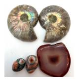 Banded Stone Cylinder Cup & Ammonite Fossils Polished Stone Collection
