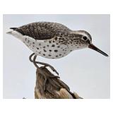 Excellent Hand Carved & Painted Folk Art Shore Bird #1