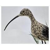 Larger Excellent Hand Carved & Painted Folk Art Shore Bird #2