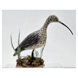 Larger Excellent Hand Carved & Painted Folk Art Shore Bird #2