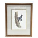 ORIGINAL Watercolor Bird Painting by Noel Dunn