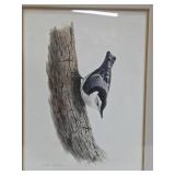 ORIGINAL Watercolor Bird Painting by Noel Dunn