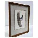 ORIGINAL Watercolor Bird Painting by Noel Dunn