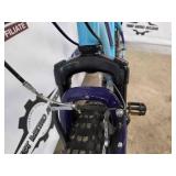 Pueblo 17" Mountain Bike - 26" Wheels Blue/Purple