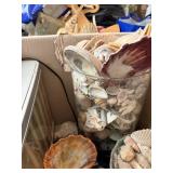 Assorted Seashells & Starfish Decor Collection - Coastal Display Shells