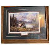 Call of the Wild Framed Print