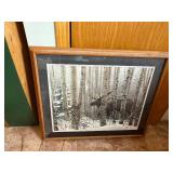 Moose in Birch Forest Framed Wildlife Art Print