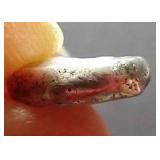 4th Century BC (!)  Greek Silver Hemidrachm - WOW