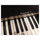 1970’s Hohner Painet-T Analog Wurlitzer/Rhodes Type Piano