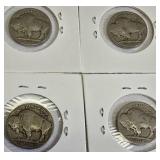 13 Different Buffalo Nickels