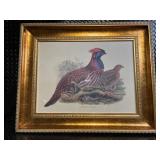 Pheasant Print in Ornate Gold Frame - Framed Wildlife Artwork Pheasant Print in Ornate Gold Frame - Framed Wildlife Artwork