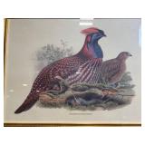 Pheasant Print in Ornate Gold Frame - Framed Wildlife Artwork Pheasant Print in Ornate Gold Frame - Framed Wildlife Artwork