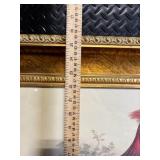 Pheasant Print in Ornate Gold Frame - Framed Wildlife Artwork Pheasant Print in Ornate Gold Frame - Framed Wildlife Artwork