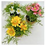 Easter Decor Set - Moss Bunny Plaque & Gnome Figurine & Painted Eggs & Flowers