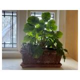 Houseplant with Large Round Green Leaves in Rectangular Brown Ceramic Planter Houseplant with Large Round Green Leaves in Rectangular Brown Ceramic Planter